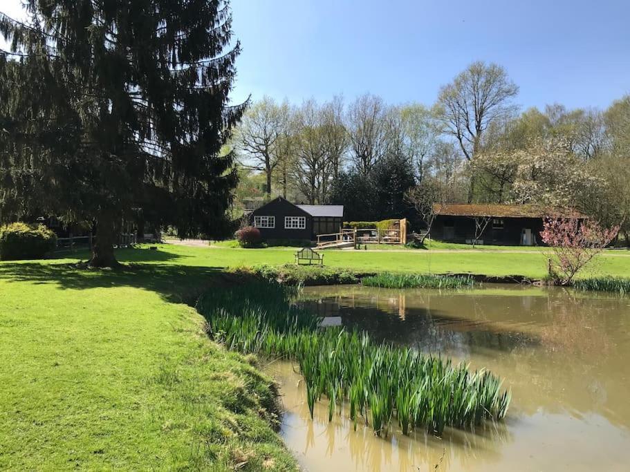 Halfmoon Lodge @ Knights Hole Wheelchair Access Cranbrook Luaran gambar